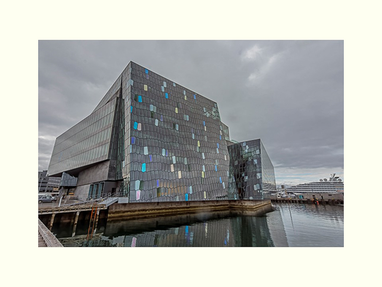 All Images By Ron MacDonnell Roberts.  © 2023.  All Rights Reserved.