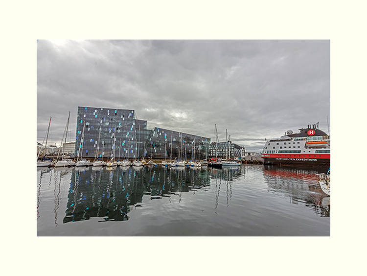 All Images By Ron MacDonnell Roberts.  © 2023.  All Rights Reserved.