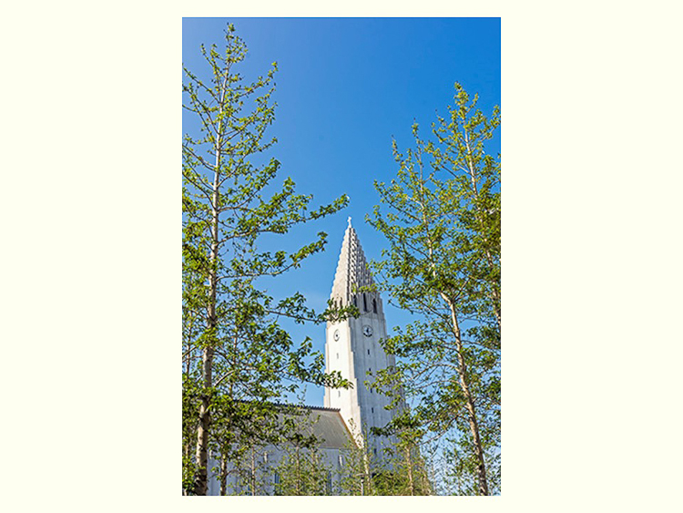 All Images By Ron MacDonnell Roberts.  © 2023.  All Rights Reserved.