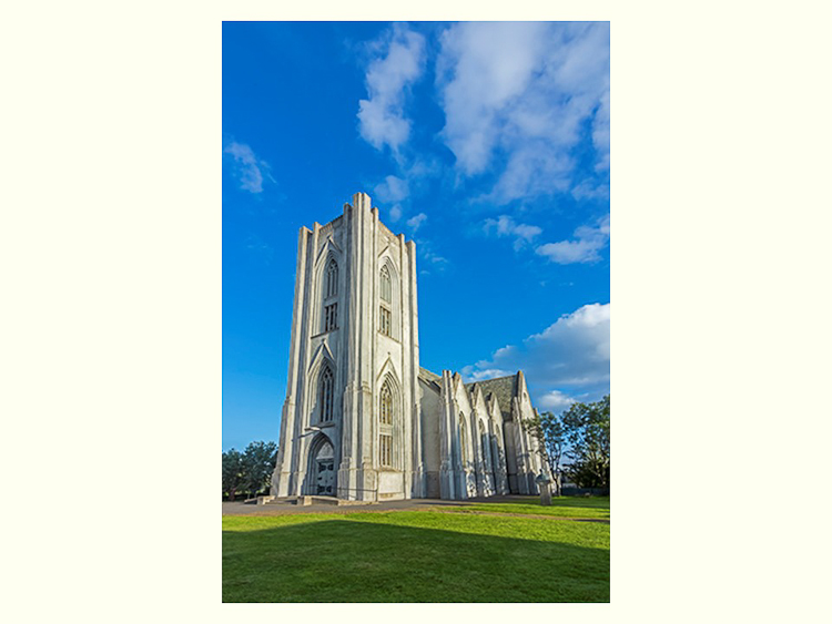 All Images By Ron MacDonnell Roberts.  © 2023.  All Rights Reserved.