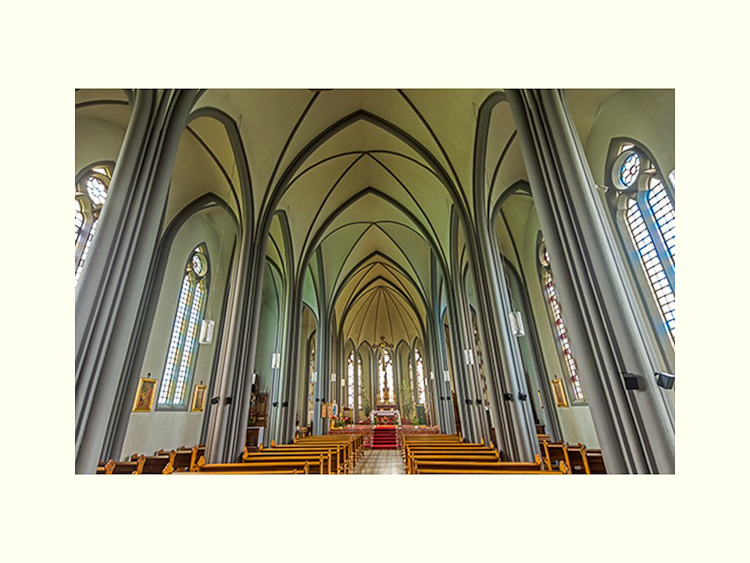 All Images By Ron MacDonnell Roberts.  © 2023.  All Rights Reserved.