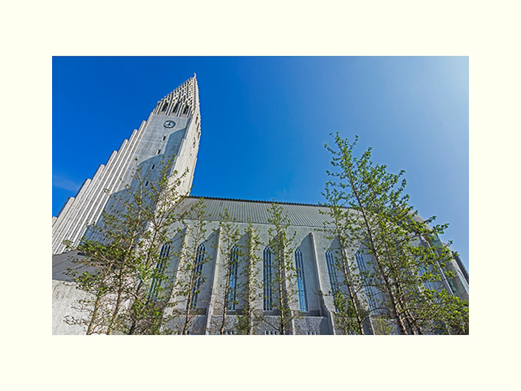 All Images By Ron MacDonnell Roberts.  © 2023.  All Rights Reserved.