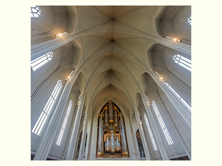 All Images By Ron MacDonnell Roberts.  © 2023.  All Rights Reserved.