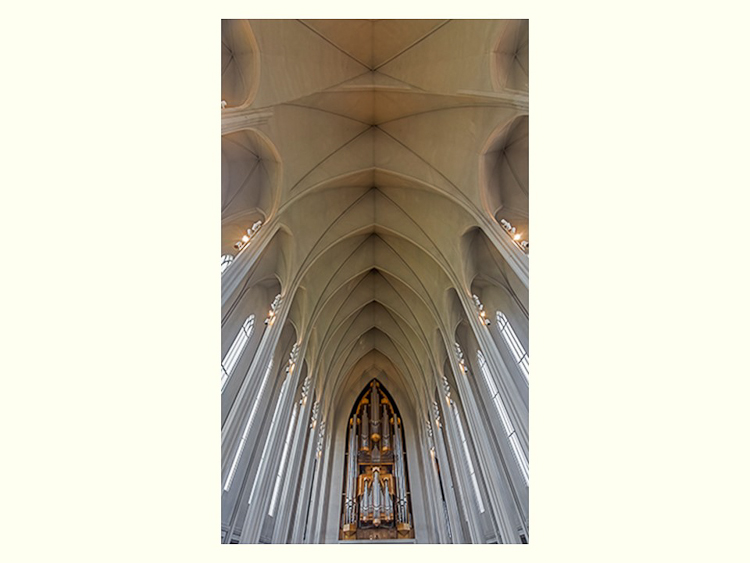 All Images By Ron MacDonnell Roberts.  © 2023.  All Rights Reserved.