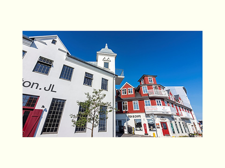 All Images By Ron MacDonnell Roberts.  © 2023.  All Rights Reserved.