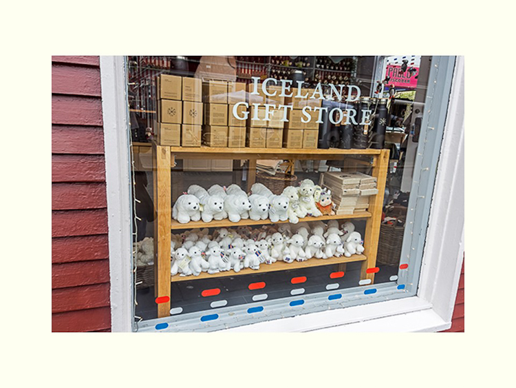 All Images By Ron MacDonnell Roberts.  © 2023.  All Rights Reserved.