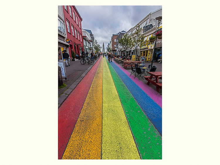 All Images By Ron MacDonnell Roberts.  © 2023.  All Rights Reserved.