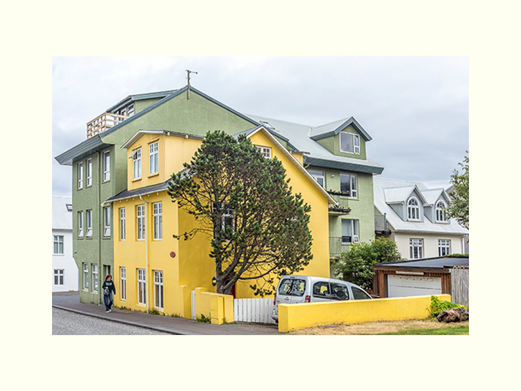 All Images By Ron MacDonnell Roberts.  © 2023.  All Rights Reserved.