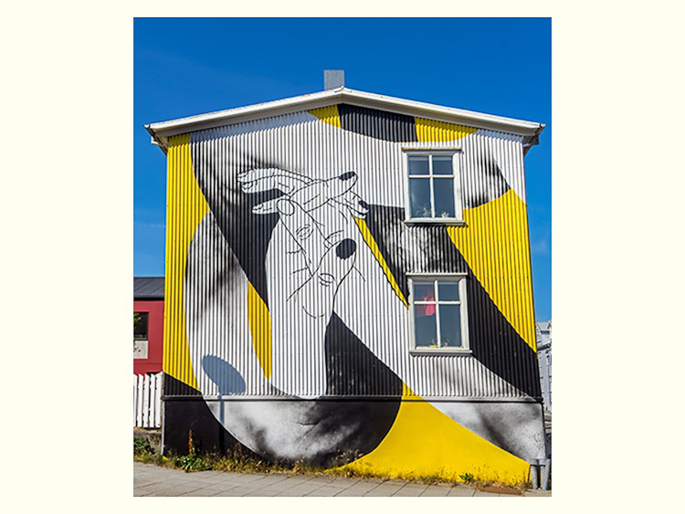 All Images By Ron MacDonnell Roberts.  © 2023.  All Rights Reserved.