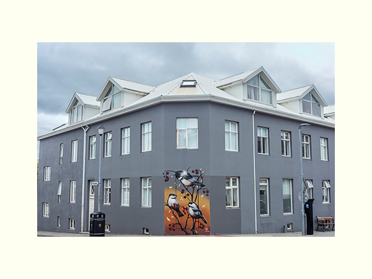 All Images By Ron MacDonnell Roberts.  © 2023.  All Rights Reserved.