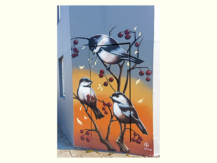 All Images By Ron MacDonnell Roberts.  © 2023.  All Rights Reserved.