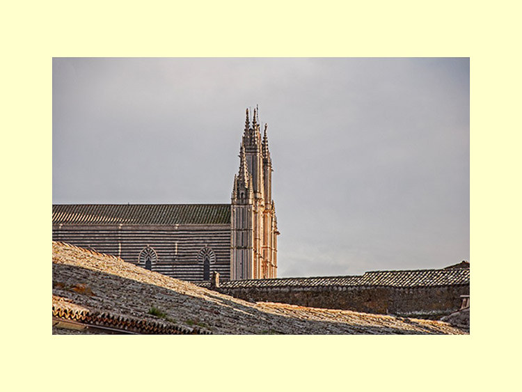 Image By Ron MacDonnell Roberts.  © 2014.  All Rights Reserved.